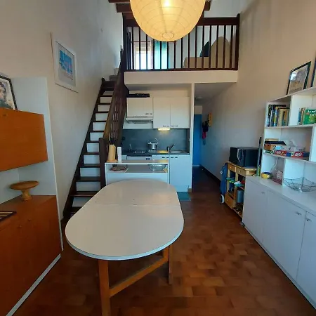 Apartment T2 Mezzanine 5 Couchages Avec Terrasse, Parking Prive Au Coeur De La Station - Fr-1-326-777 *